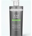 ПОД ЗАКАЗ.Кондиционер для жирной кожи головы 600мл Scalp Clinic Conditioner 15978.270.50 - фото 33344