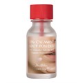 ПОД ЗАКАЗ.Dr. Althea Точечное средство против воспалений с каламином 15% Calamine Spot Powder 15629.900.50 - фото 35421